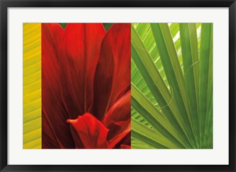 Framed Tropical Treasure II Print