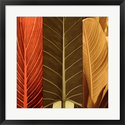 Framed Tropical Trio I Print