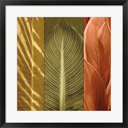 Framed Tropical Trio II Print