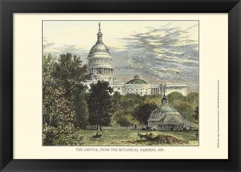 Framed Capitol From the Botanical Gardens Print