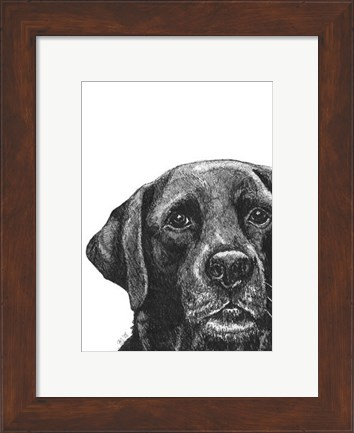 Framed Millie the Black Lab Print