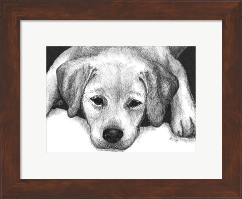 Framed Kailie the Yellow Lab Print