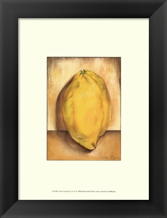 Framed Citrus Comfort II Print