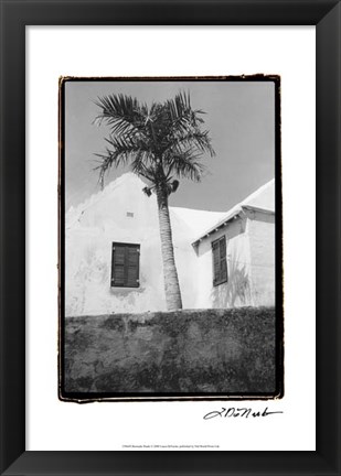 Framed Bermuda Shade Print