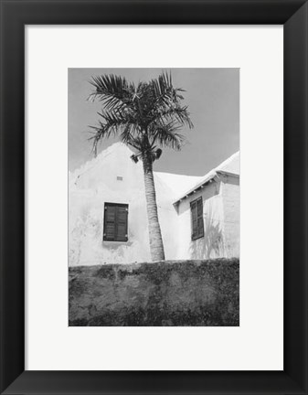 Framed Bermuda Shade Print