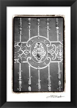 Framed Distinguished Doors II Print