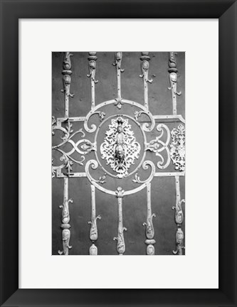 Framed Distinguished Doors II Print