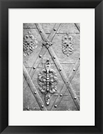 Framed Distinguished Doors III Print