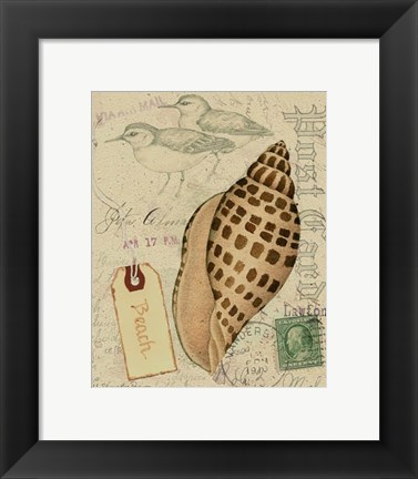 Framed Postcard Shells I Print