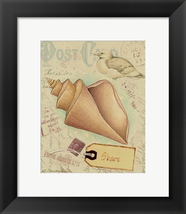 Framed Postcard Shells III Print