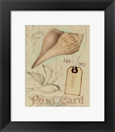 Framed Postcard Shells IV Print