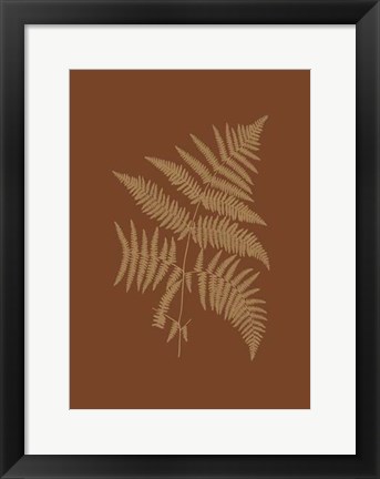 Framed Sepia Ferns on Brick (WG) III Print