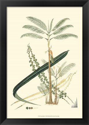 Framed Exotic Palms I Print