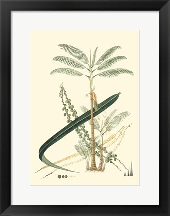 Framed Exotic Palms I Print