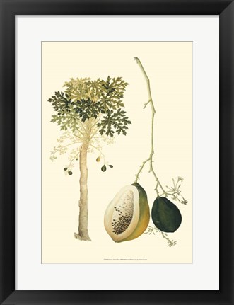 Framed Exotic Palms II Print