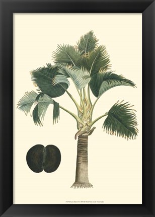 Framed Exotic Palms III Print