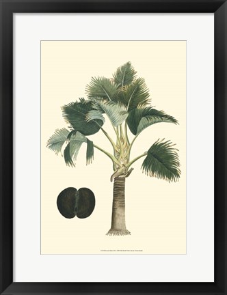 Framed Exotic Palms III Print