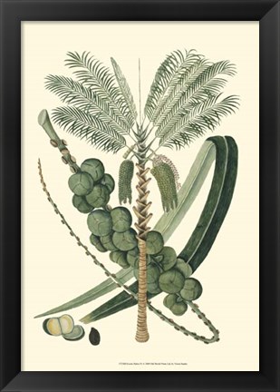 Framed Exotic Palms IV Print