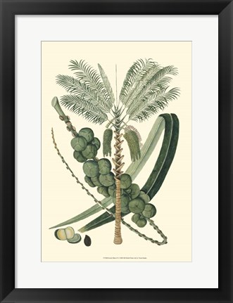 Framed Exotic Palms IV Print