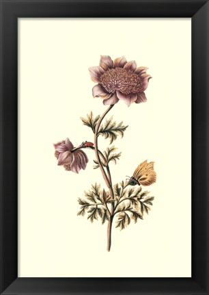 Framed Flora &amp; Fauna I Print