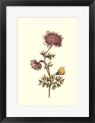 Framed Flora &amp; Fauna I Print