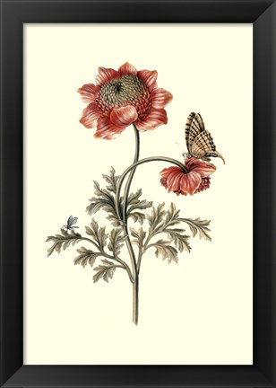 Framed Flora &amp; Fauna IV Print