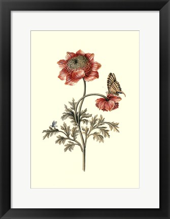 Framed Flora &amp; Fauna IV Print