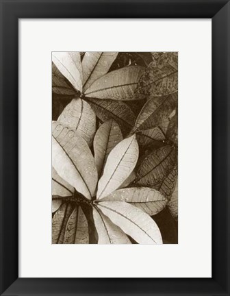 Framed Garden Textures I Print