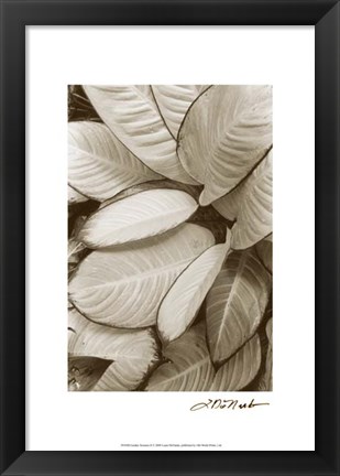 Framed Garden Textures II Print