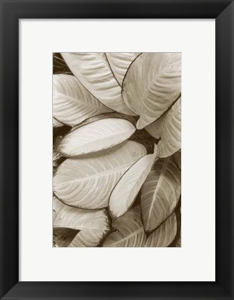 Framed Garden Textures II Print