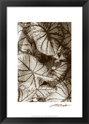 Framed Garden Textures IV Print