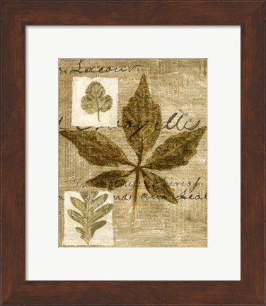 Framed Mini Leaf Collage III (ST) Print