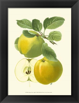 Framed Antique Green Apple Print