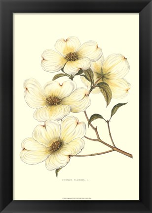 Framed Dogwood Print