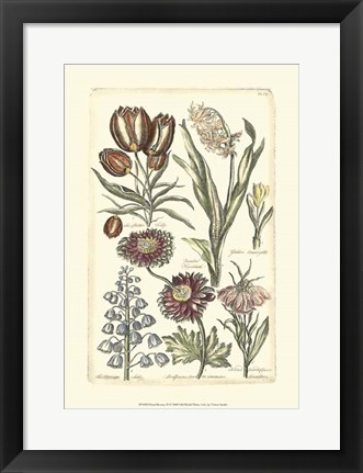 Framed Floral Bounty II Print