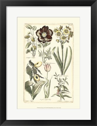 Framed Floral Bounty III Print