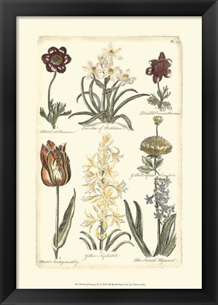 Framed Floral Bounty IV Print