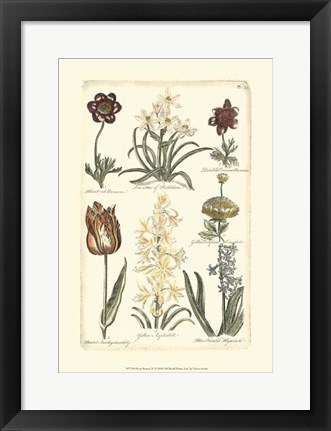 Framed Floral Bounty IV Print