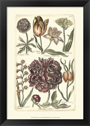 Framed Floral Bounty V Print