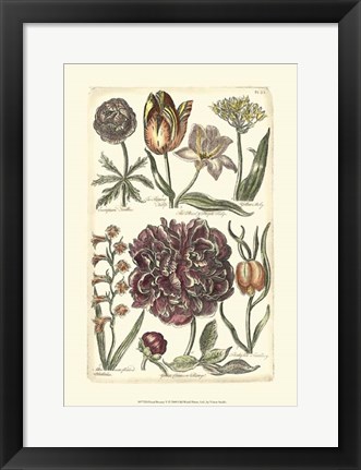 Framed Floral Bounty V Print