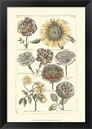 Framed Floral Bounty VI Print