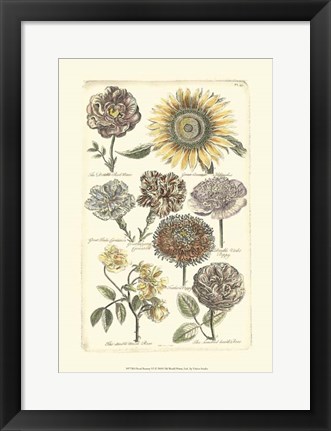 Framed Floral Bounty VI Print