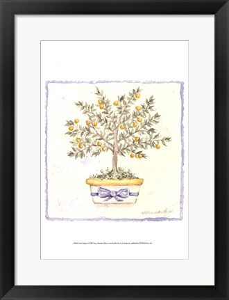 Framed French Topiary I Print