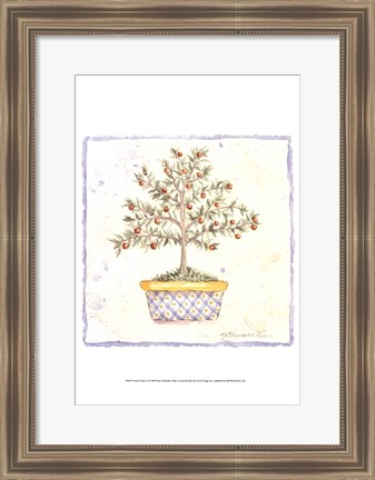 Framed French Topiary II Print