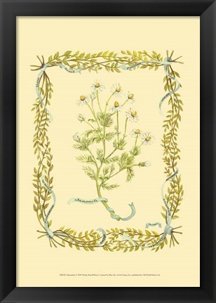 Framed Chamomile Print