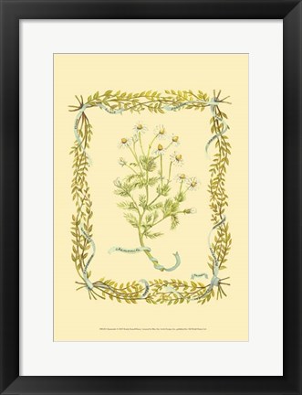 Framed Chamomile Print