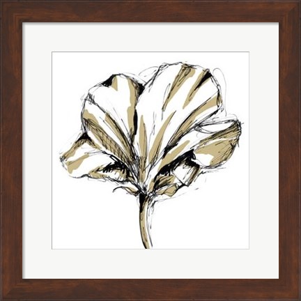 Framed Small Tulip Sketch IV Print