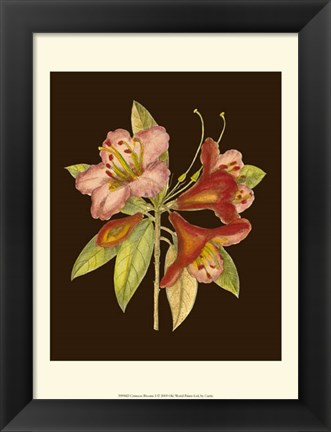 Framed Crimson Blooms I Print