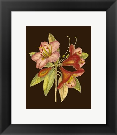 Framed Crimson Blooms I Print