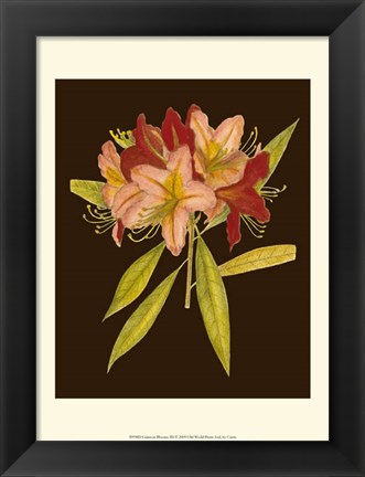 Framed Crimson Blooms III Print